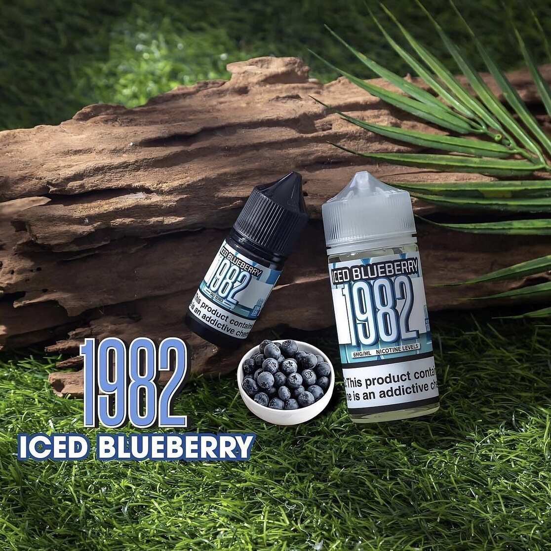 1982 Ice Blueberry Saltnic 4 200
